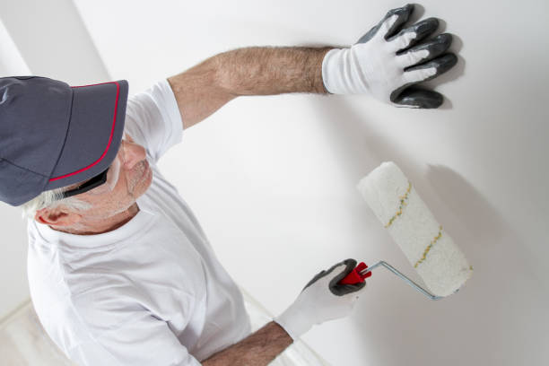 Best Mold Odor Removal Services  in Reading, OH